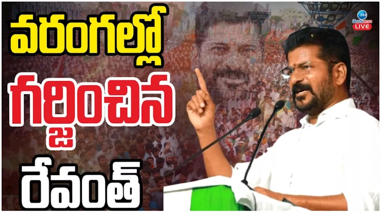 Revanth Reddy VS KCR: కేసీఆర్ కాస్కో.. నిన్ను మళ్లీ గడ్డమీద మొలవనివ్వ.. కాక రేపుతున్న సీఎం రేవంత్ వ్యాఖ్యలు.. వీడియో ఇదే..