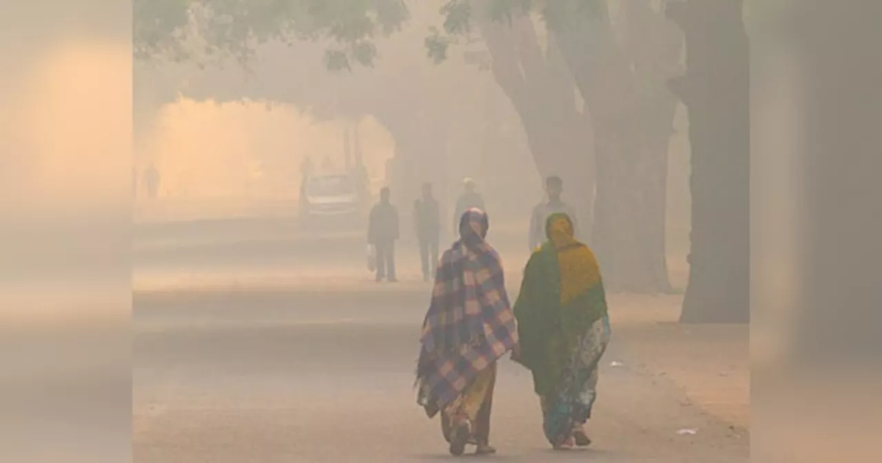 Rajasthan Weather Update: जहरीली हुई राजस्थान की आबो-हवा, गिरते तापमान ने बढ़ाई ठिठुरन, पढ़ें वेदर अपडेट