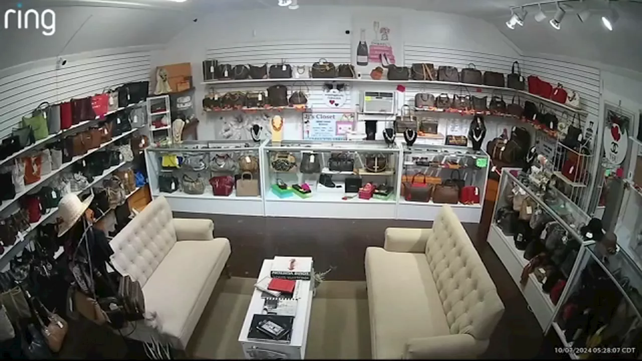 Burglars allegedly steal $50,000 worth of designer bags again from small business