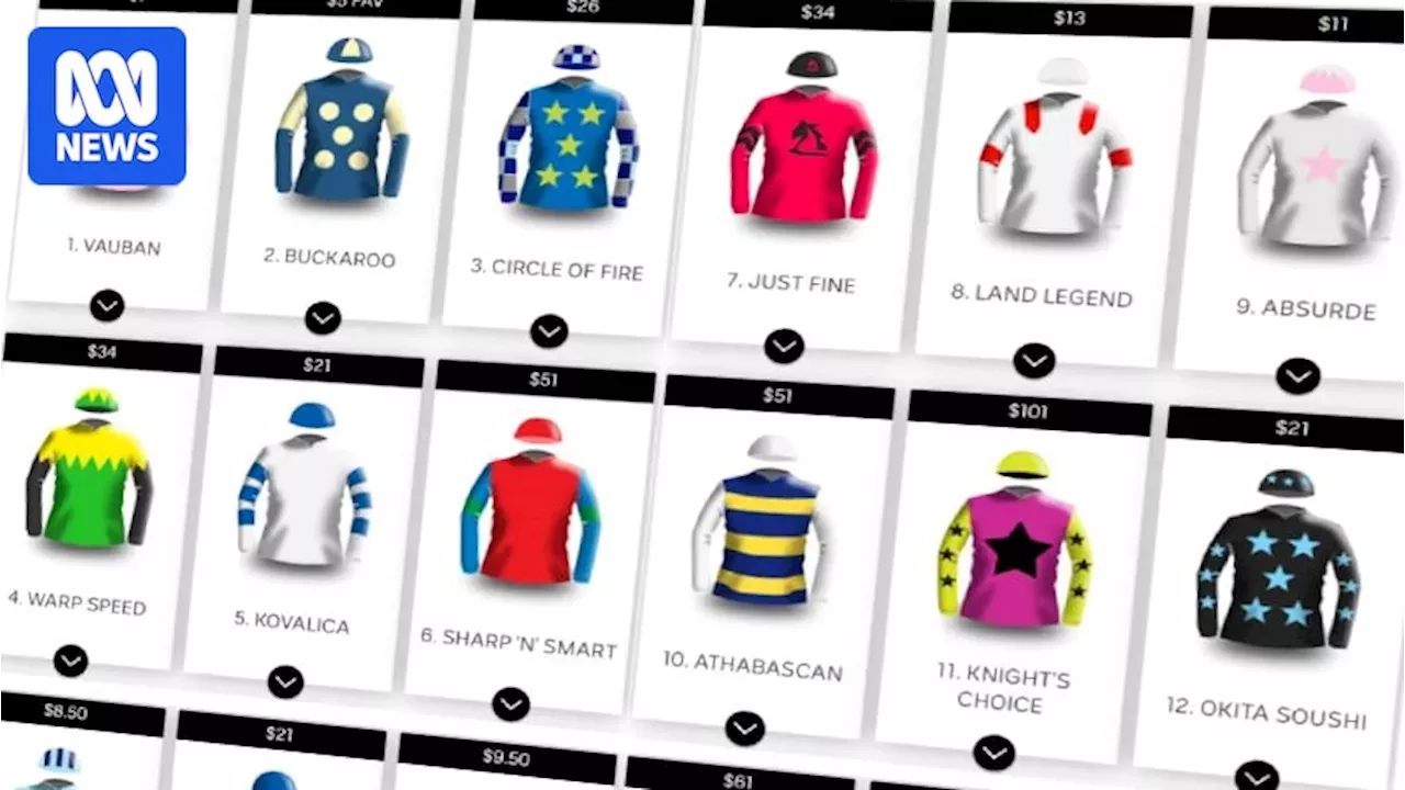 Melbourne Cup 2024 field, barrier draw, form guide and betting - Field ...