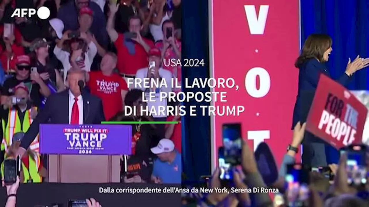 Frena il lavoro, le proposte Di Harris e Trump