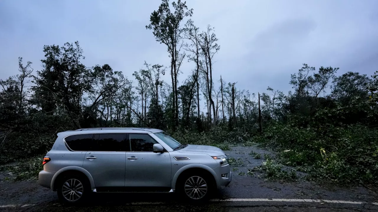 Georgia to spend $100 million on Hurricane Helene aid for farms and forestry