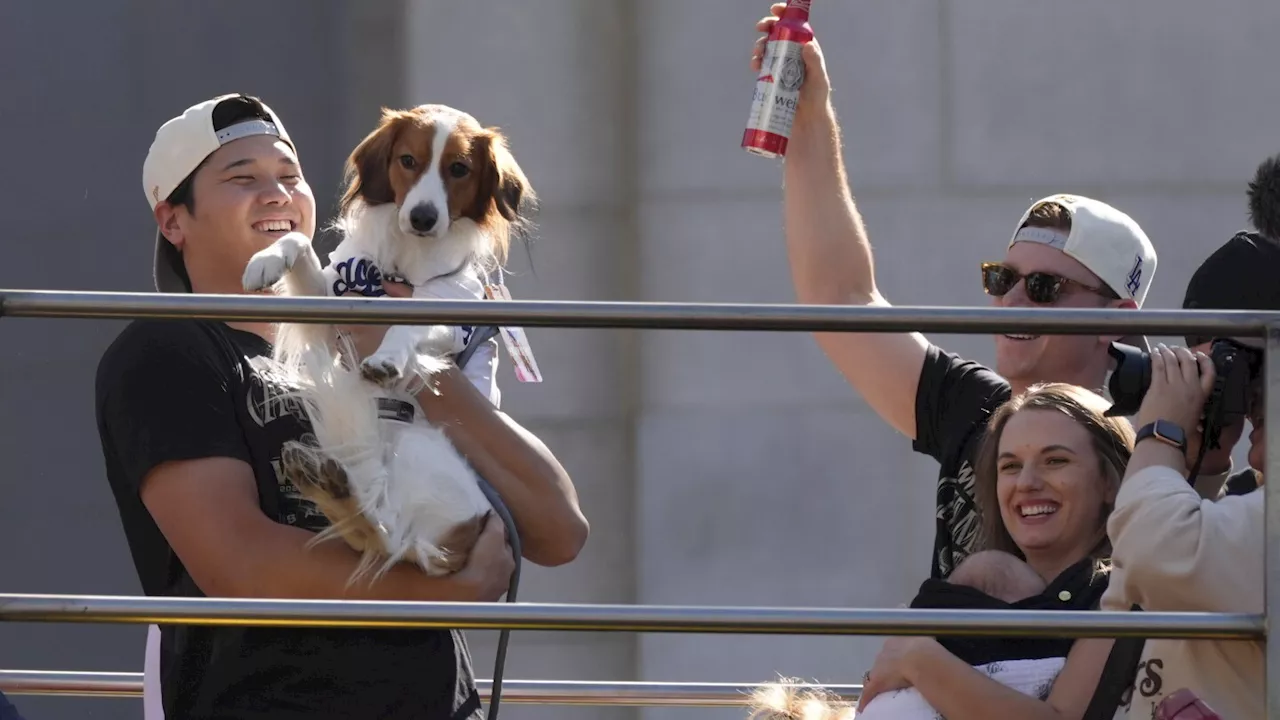 Shohei Ohtani brings his dog and addresses crowd in English as Dodgers celebrate World Series title