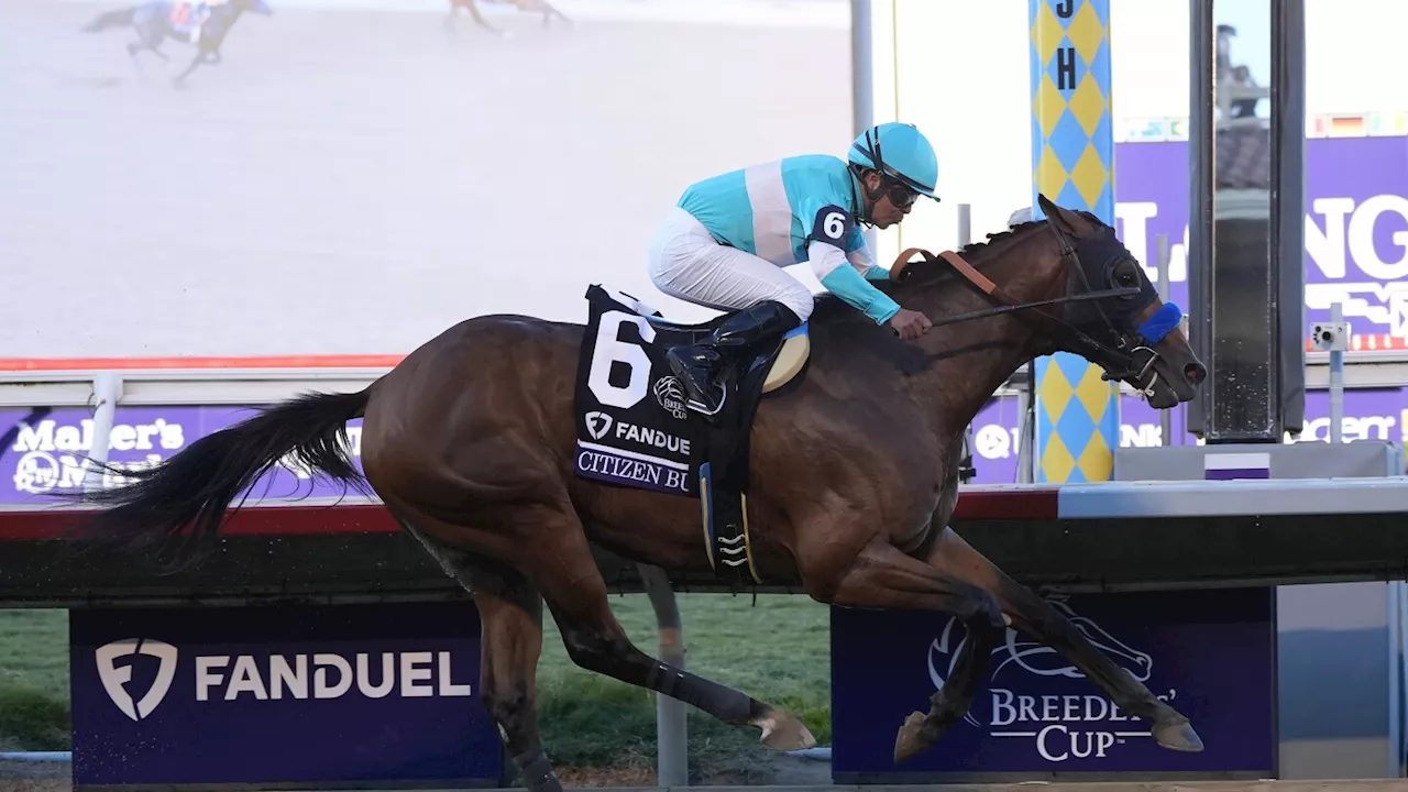 Trainer Bob Baffert's horses finish 1-2 in $2 million Juvenile in Breeders' Cup at Del Mar