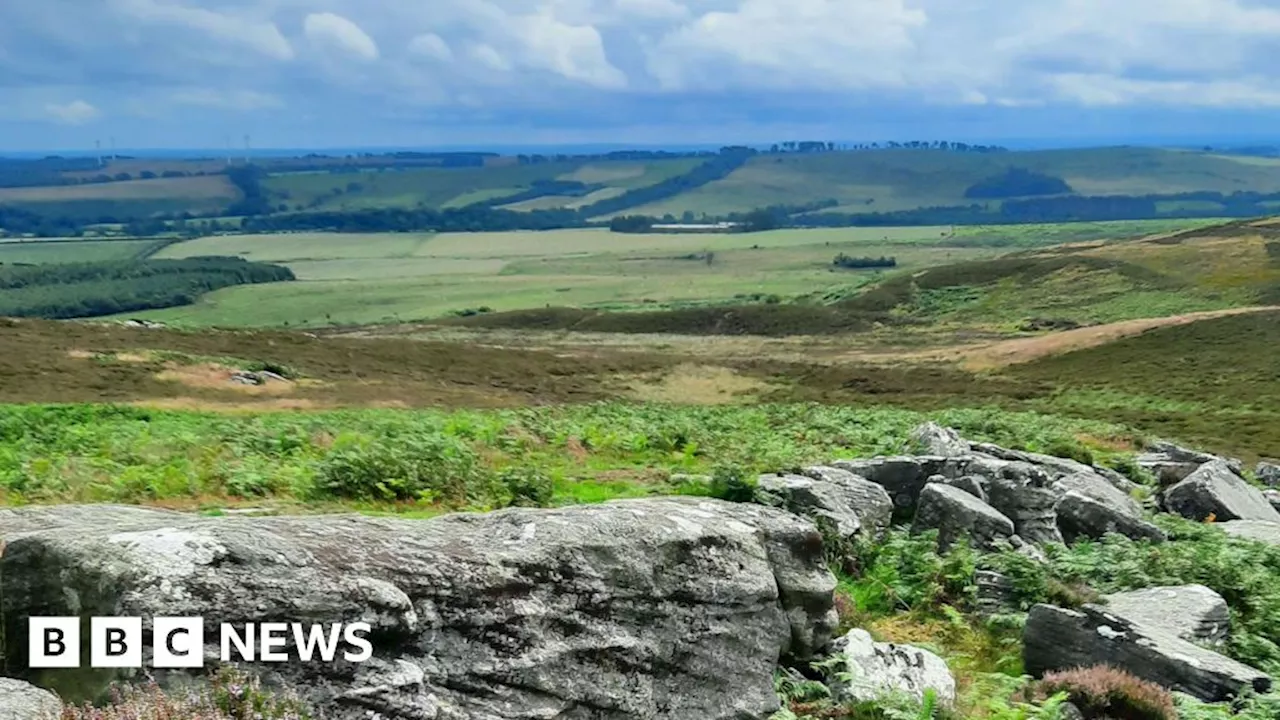 Rothbury Estate new owners asked to work with tenant farmers