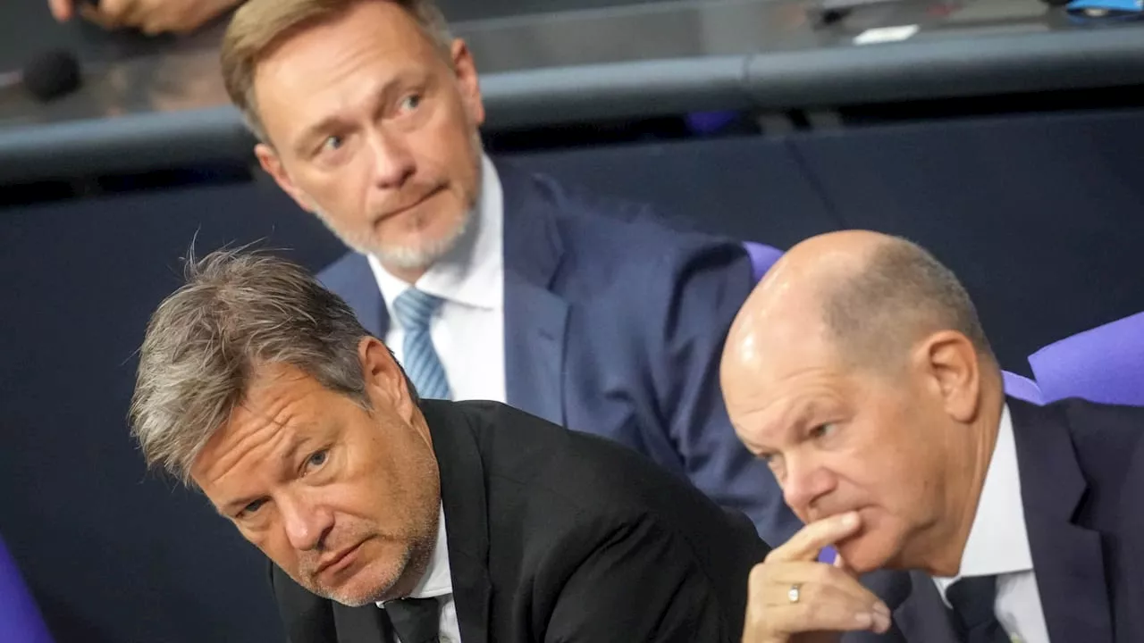 Lindners Wirtschaftswende: Zerreißprobe für die Ampel-Regierung?