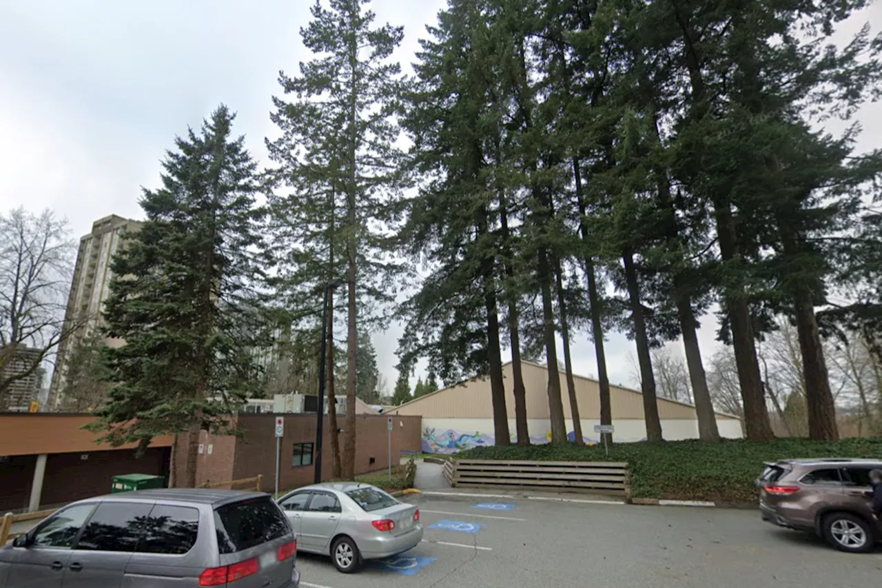 Burnaby to chop down 166 trees for community centre redevelopment