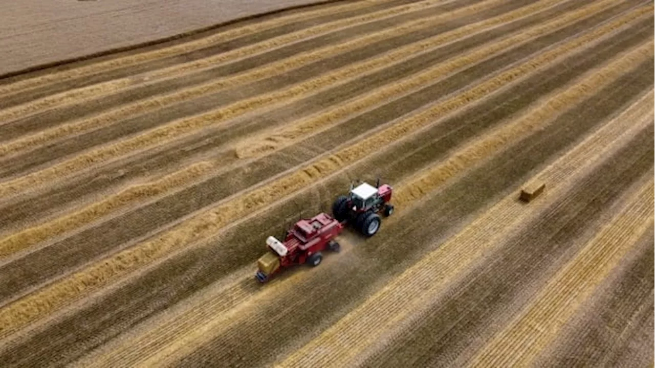 'Buying snake oil': Growers ask Ottawa for help avoiding shoddy fertilizer alternatives