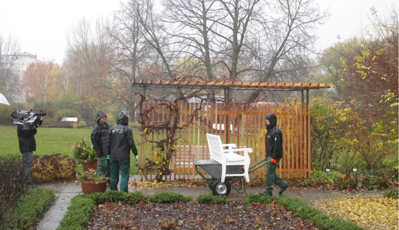 Freundschaftsinsel verabschiedet sich in die Winterruhe