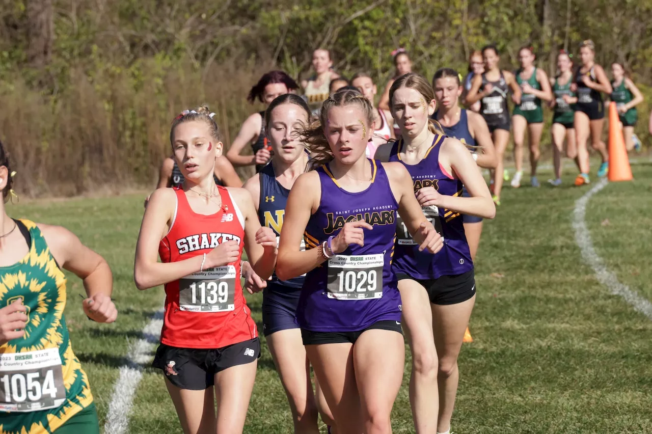 OHSAA state cross country: Which Northeast Ohio runners earned All-Ohio for 2024?