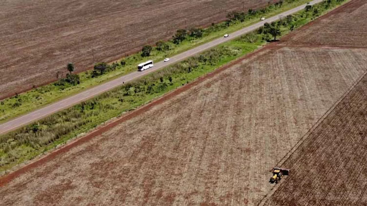 Brazilian state law overturns soy moratorium that helped curb Amazon deforestation