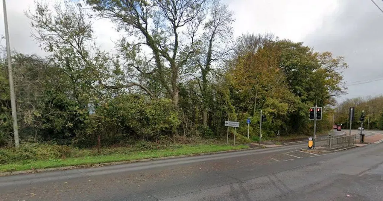 Two women killed in South Wales crash as police issue appeal