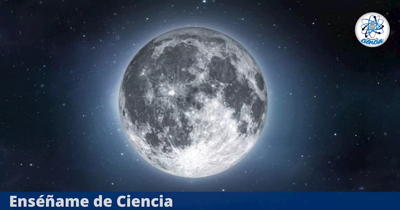 Luna del Castor 2024: ¿Cuándo y a qué hora ver este fenómeno astronómico?