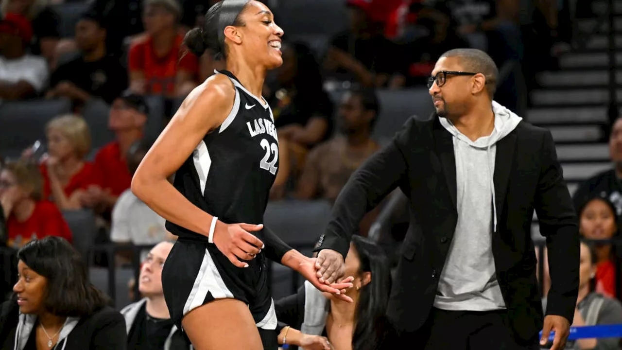 Chicago Sky have hired their next head coach: Reports