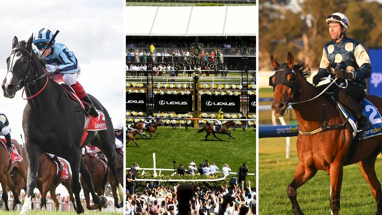 Ultimate Melbourne Cup form guide: Expert verdict on every runner and predicted top 4