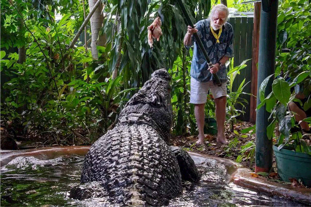 World's largest captive crocodile Cassius dies in Australia