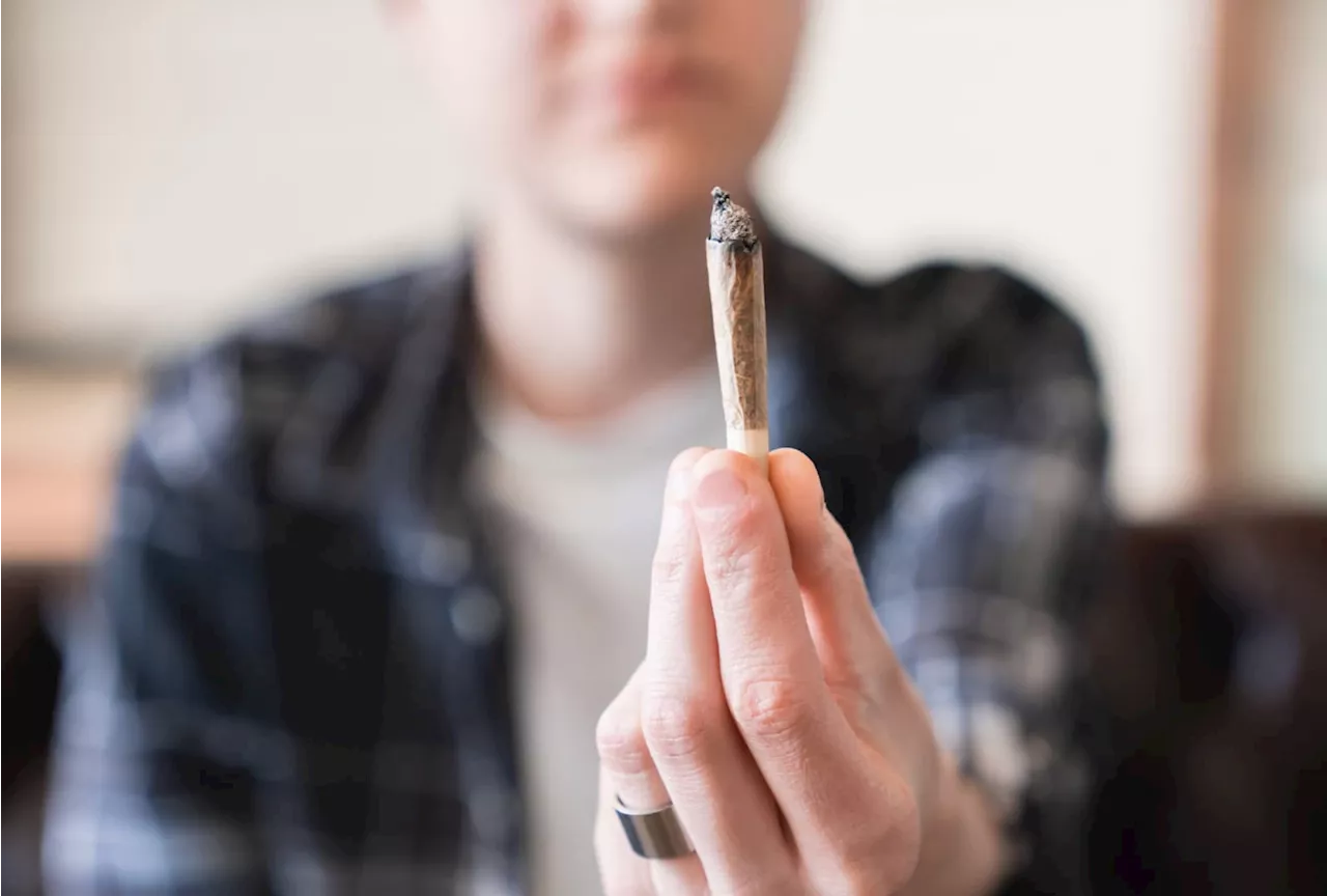 Aktuelle Umfrage zur Legalisierung in Deutschland