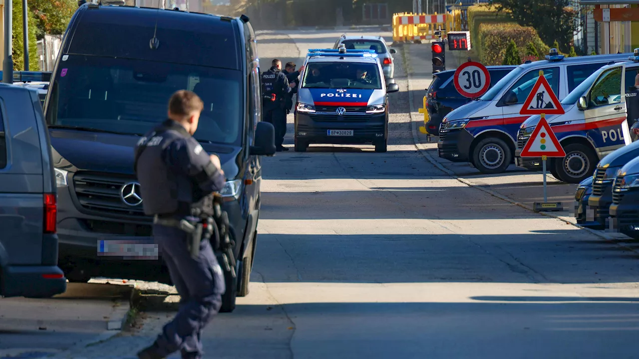 Auto in Wald entdeckt – von Amok-Jäger fehlt jede Spur