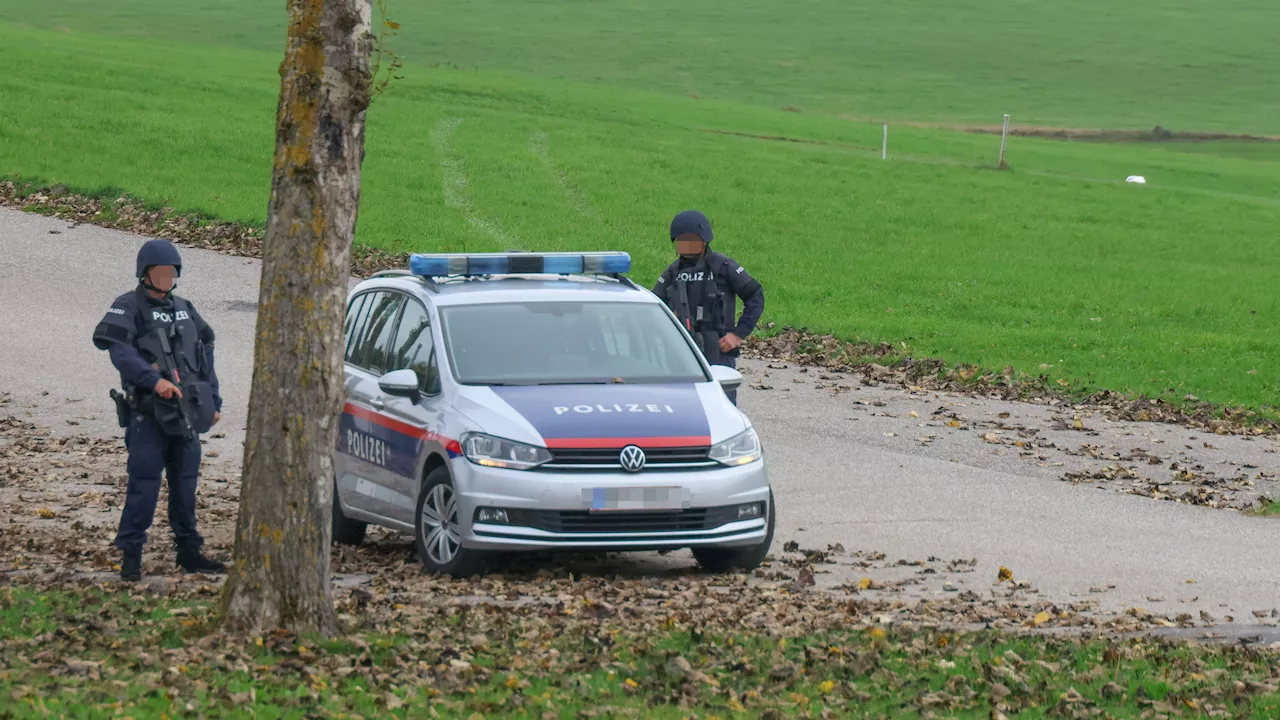 Waldgebiet umstellt – Nebel erschwert Suche nach Killer