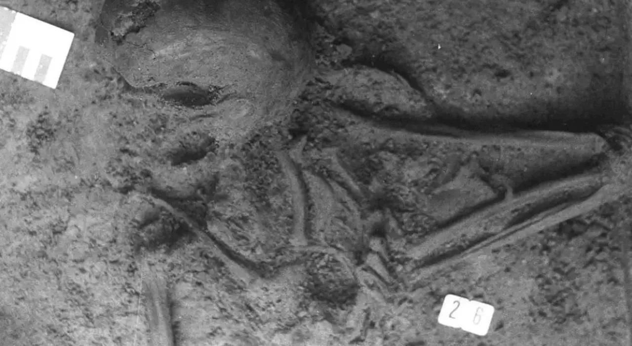 Il mistero dello scheletro puzzle, corpo preistorico e cranio romano: «Fusione di sette individui diversi»