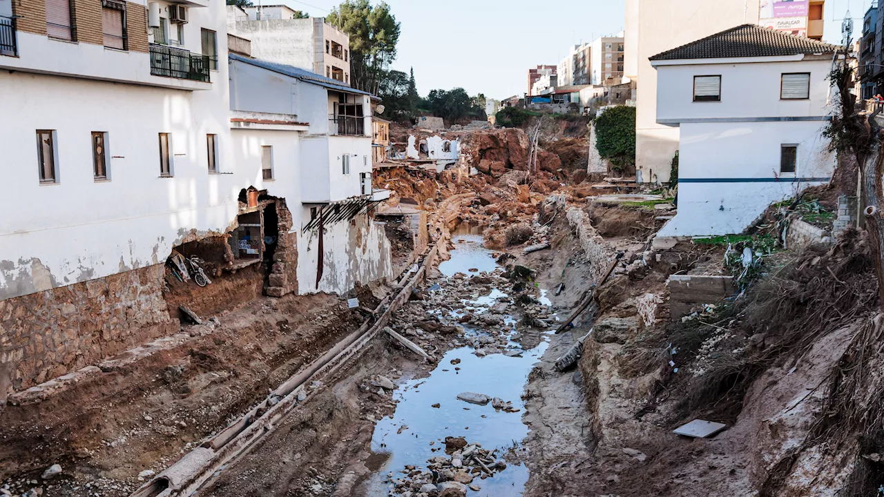  Una veintena de voluntarios intoxicados en Chiva