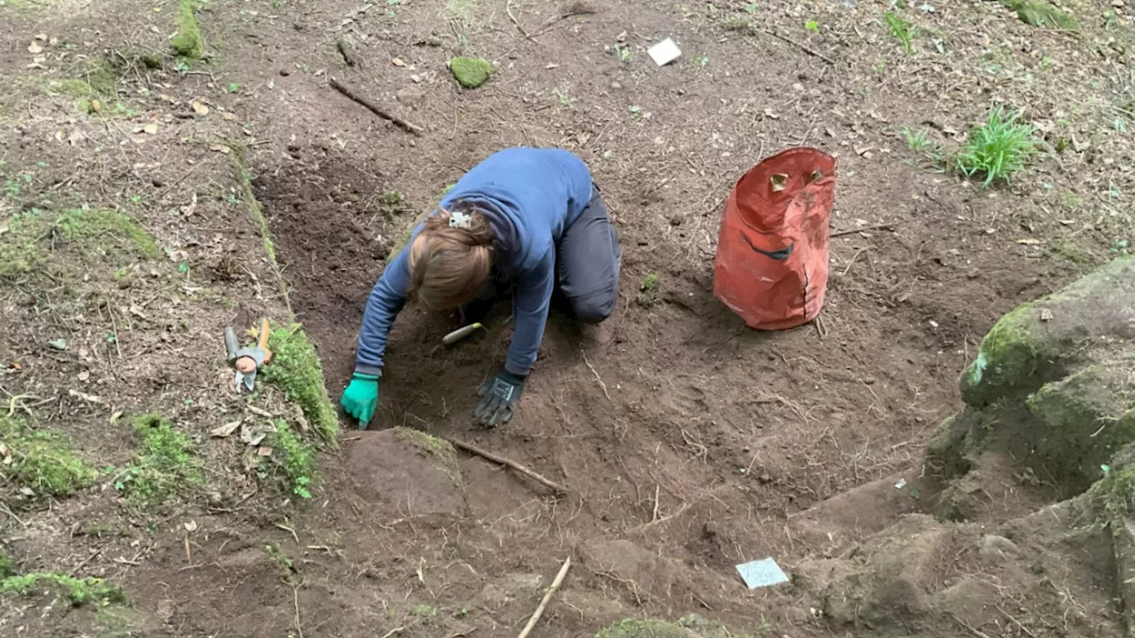 Eddlewood Castle linked to Mary Queen of Scots found after 450 years