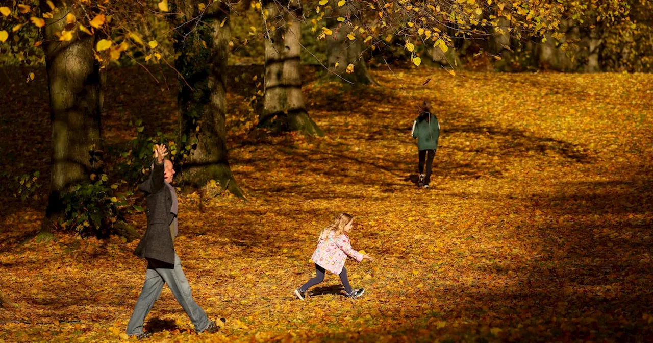 Mild weather to start November with temperatures up to 15 degrees