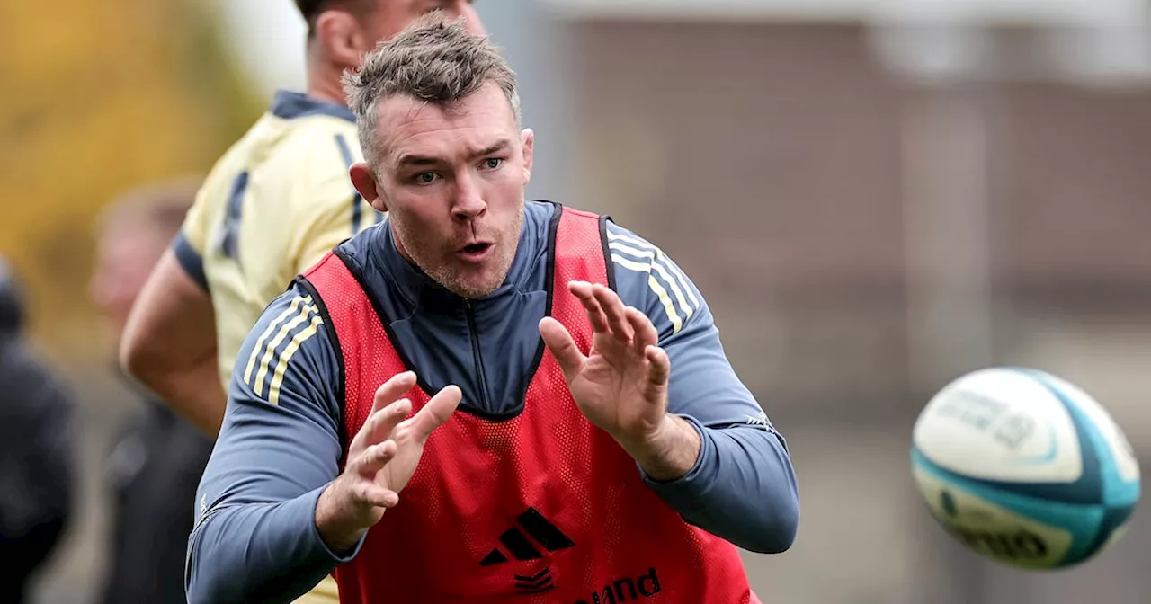 Understrength Munster aim to stand up to All Blacks again