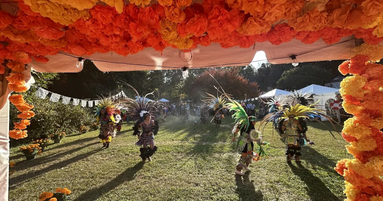 At a historic cemetery in the South, a Dia de los Muertos festival takes root