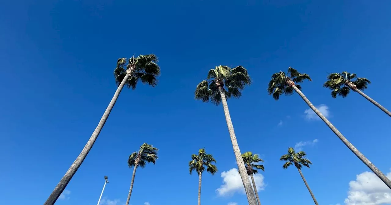 Gusty Santa Ana winds bring a chance of fire weather this weekend