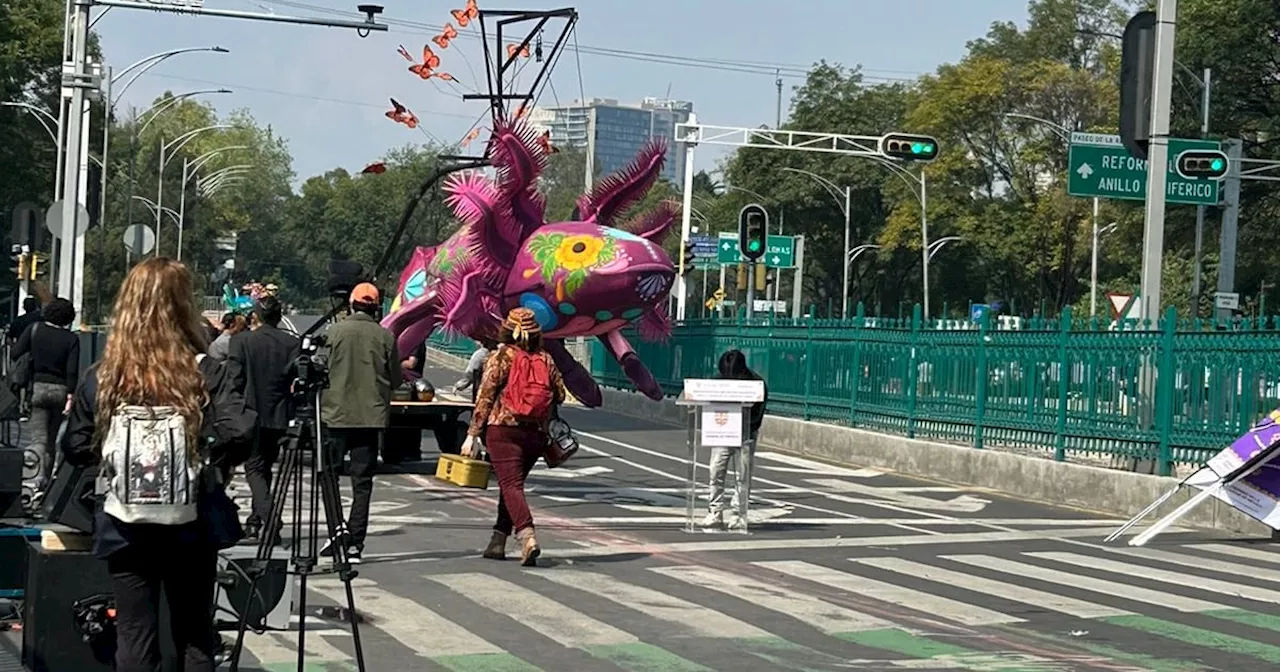 Desfile de Día de Muertos: Así se vive el evento en FOTOS y VIDEOS