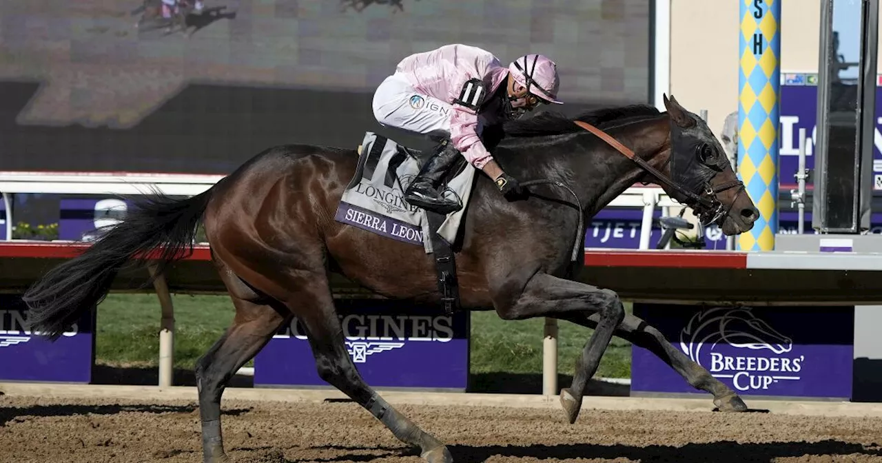 Sierra Leone captures Breeders' Cup Classic victory, beating favorite Fierceness