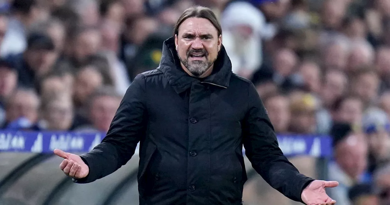 Daniel Farke press conference LIVE as Leeds United boss reacts to dominant home win