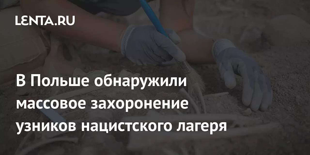 В Польше обнаружили массовое захоронение узников нацистского лагеря