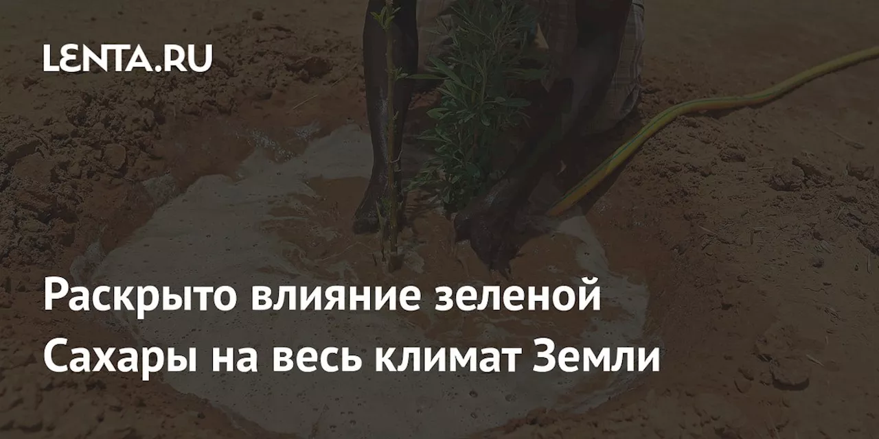 Раскрыто влияние зеленой Сахары на весь климат Земли