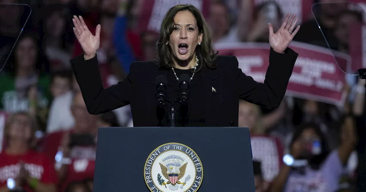 Usa 2024, Trump-Kamala: per i democratici i sondaggi sfavorevoli sono un&#039;invenzione