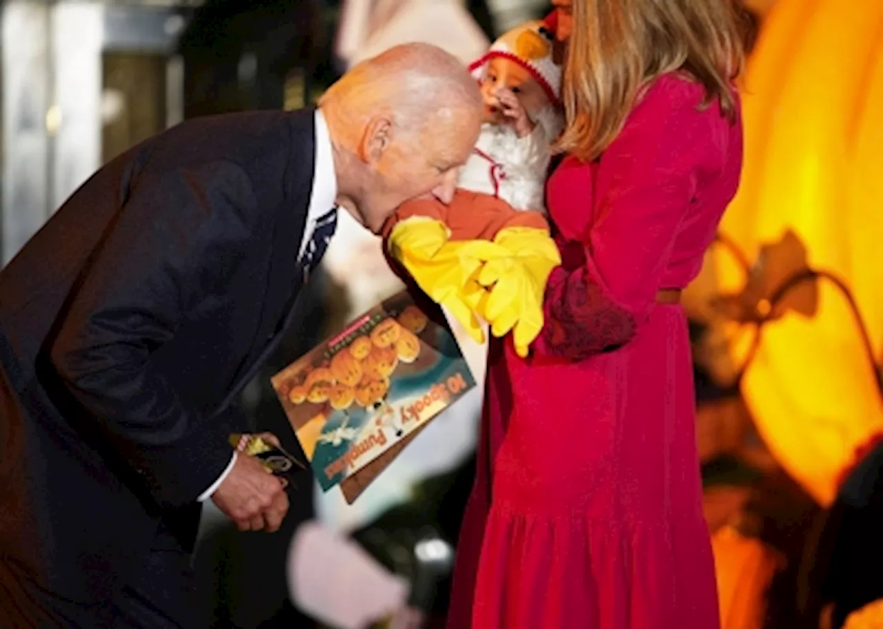 Biden bites baby, dough-mocracy, genitals: Meet the home stretch of the US elections