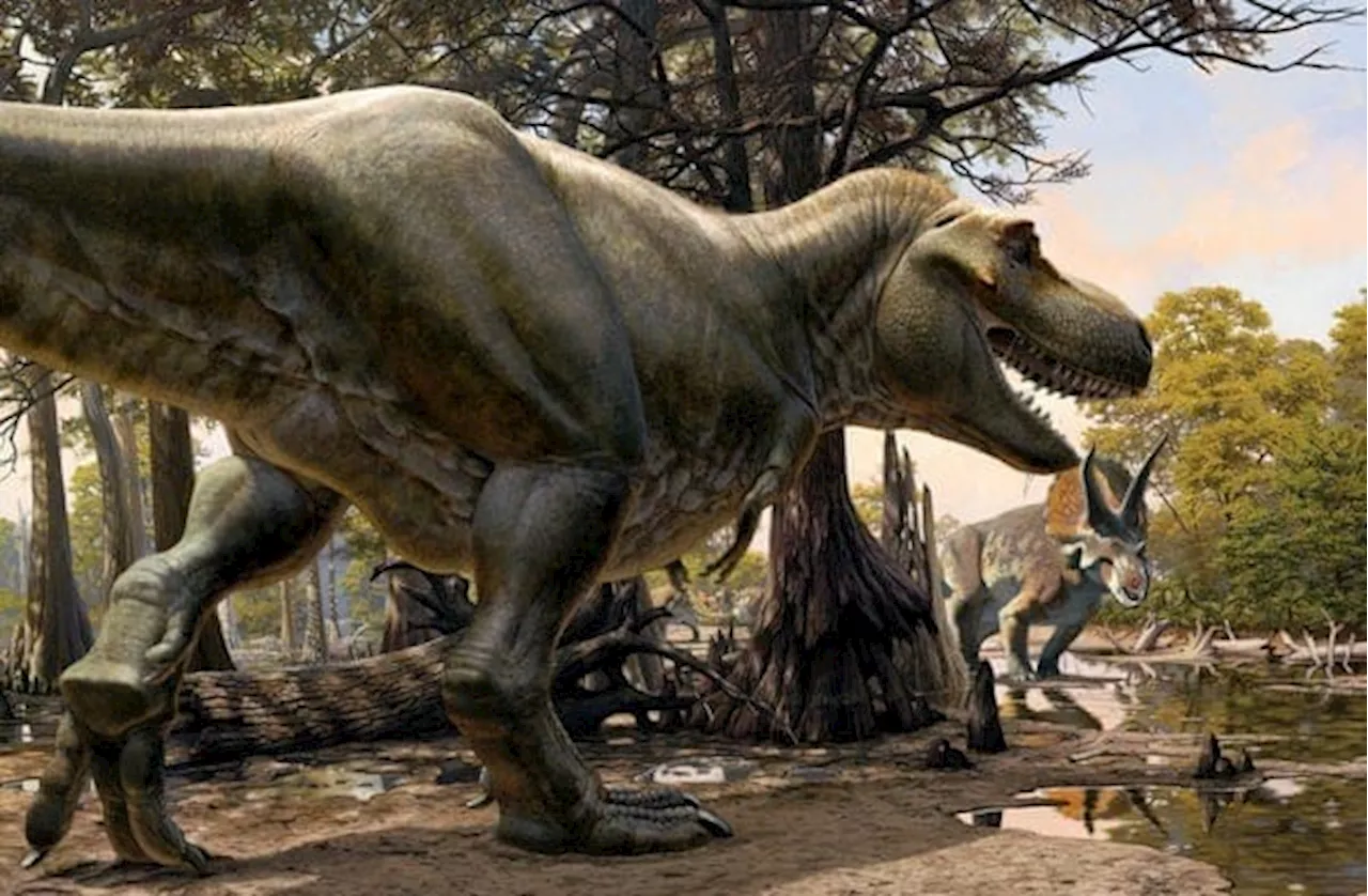 Ilmuwan Ungkap Dinosaurus Muncul dari Es bukan Api, Ini Penjelasannya