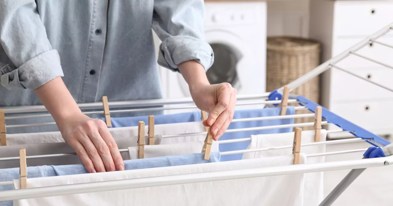 This £17.99 gadget helps my washing dry quicker and looks like a little speaker