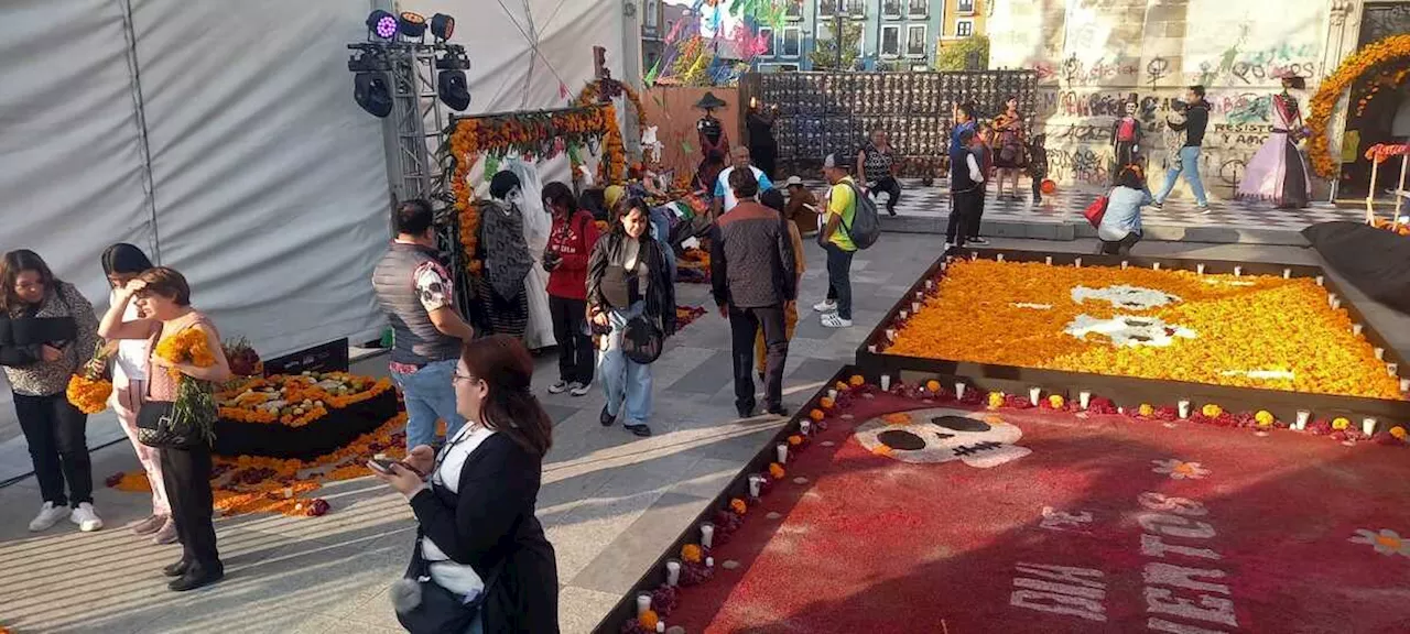 Altar monumental en Pachuca: Regresan a casa y por ello el camino con flores de cempasúchil