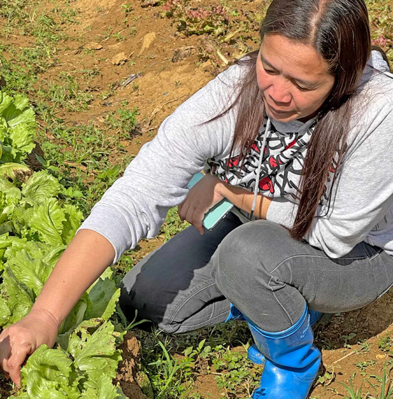 Jollibee supports farmers community