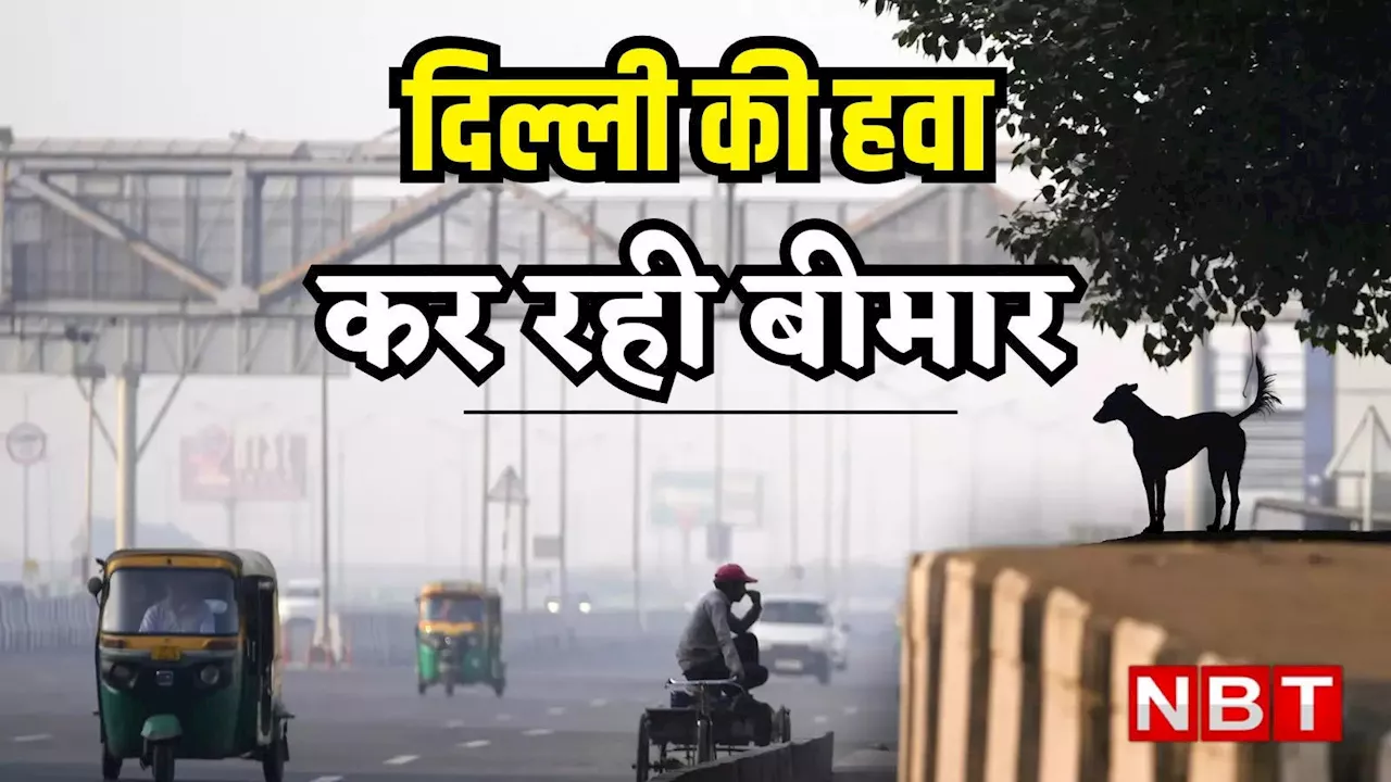 Delhi Air Pollution: दिल्ली की सांसें फिर अटकी, दिवाली के बाद जहरीली हुई राजधानी की हवा, प्रदूषण से परेशान 69% परिवार