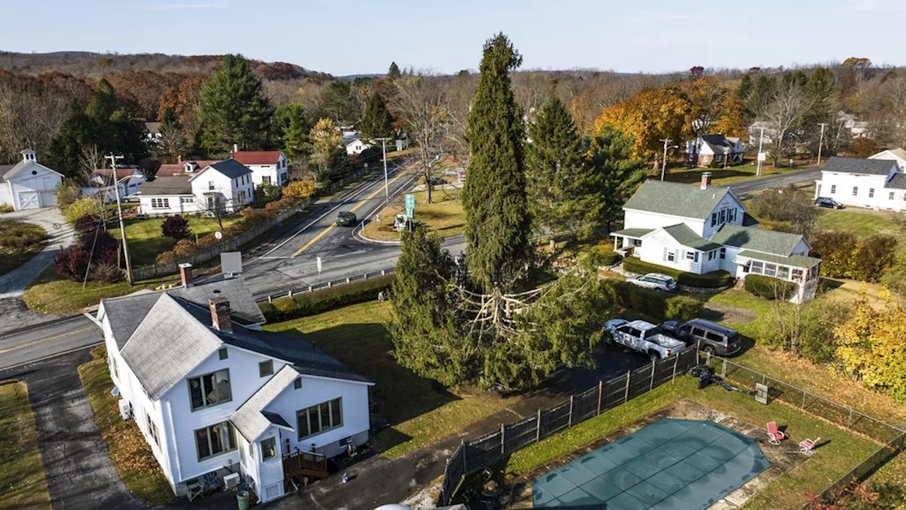 Crowds flock to tiny Mass. town to send off Rockefeller Christmas tree