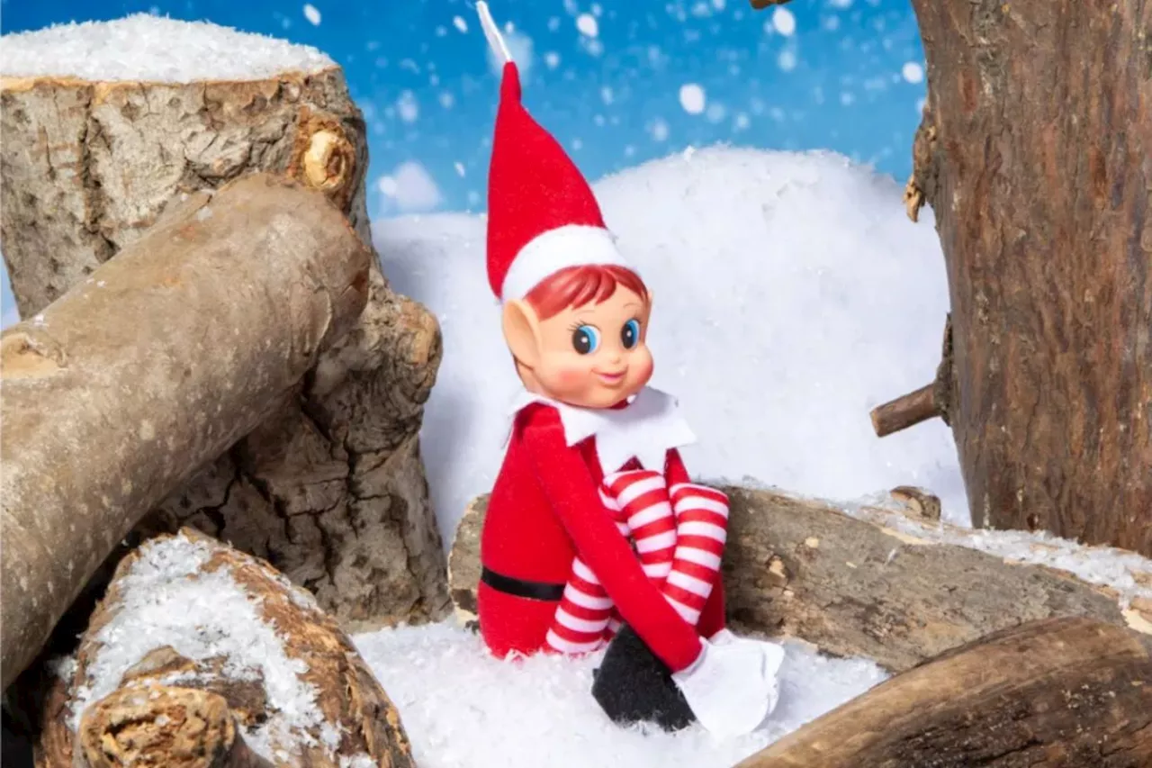 Lidl launches £2.99 Elf on the Shelf dupe – and there are loads of fun accessories, too