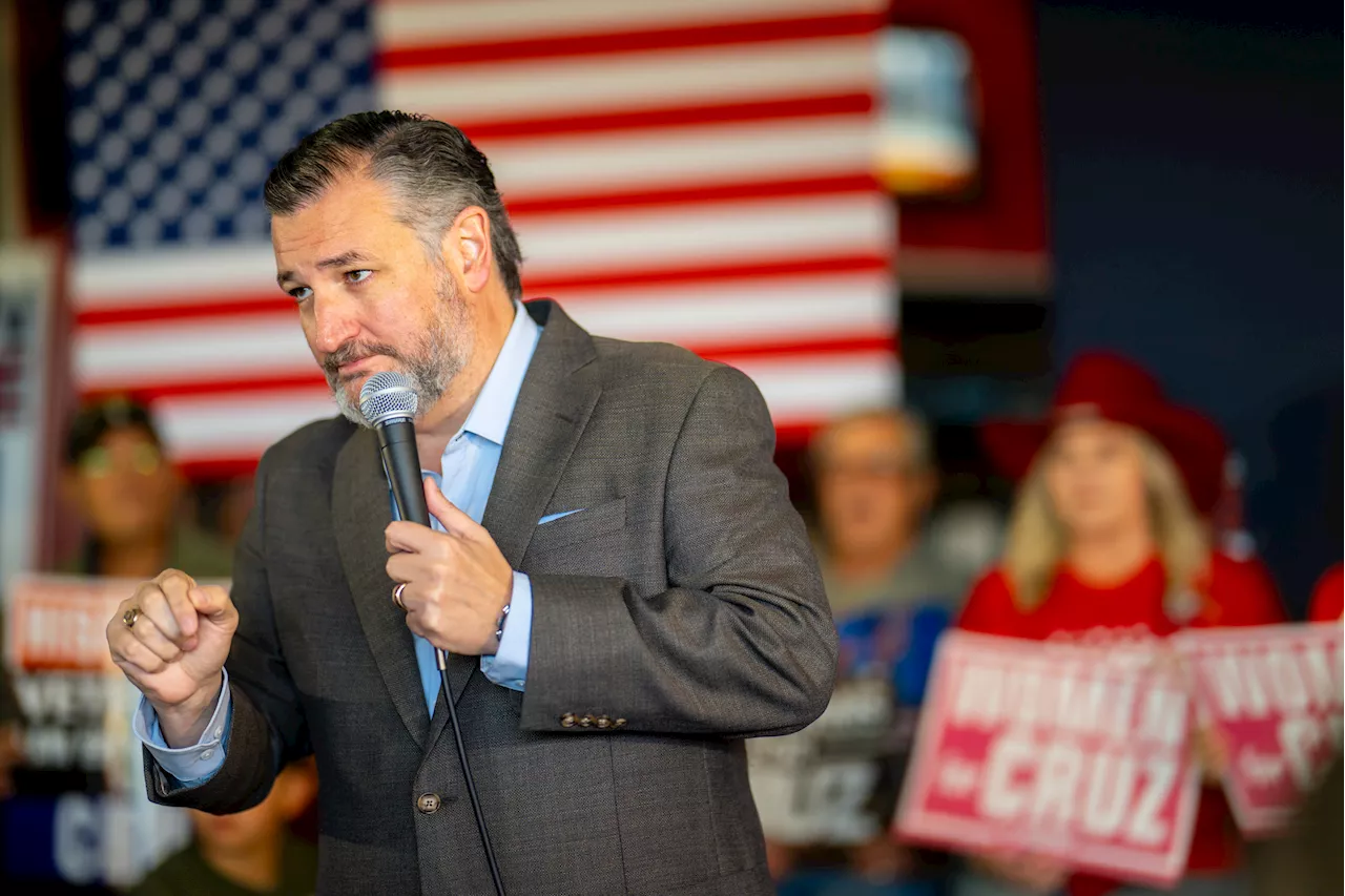 Ted Cruz Is Going to 'Lose for Sure,' Pollster Predicts