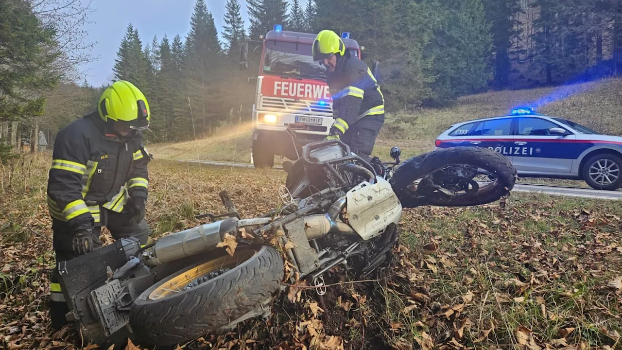 Biker aus dem Bezirk Gänserndorf kollidierte in St. Aegyd mit Hirsch