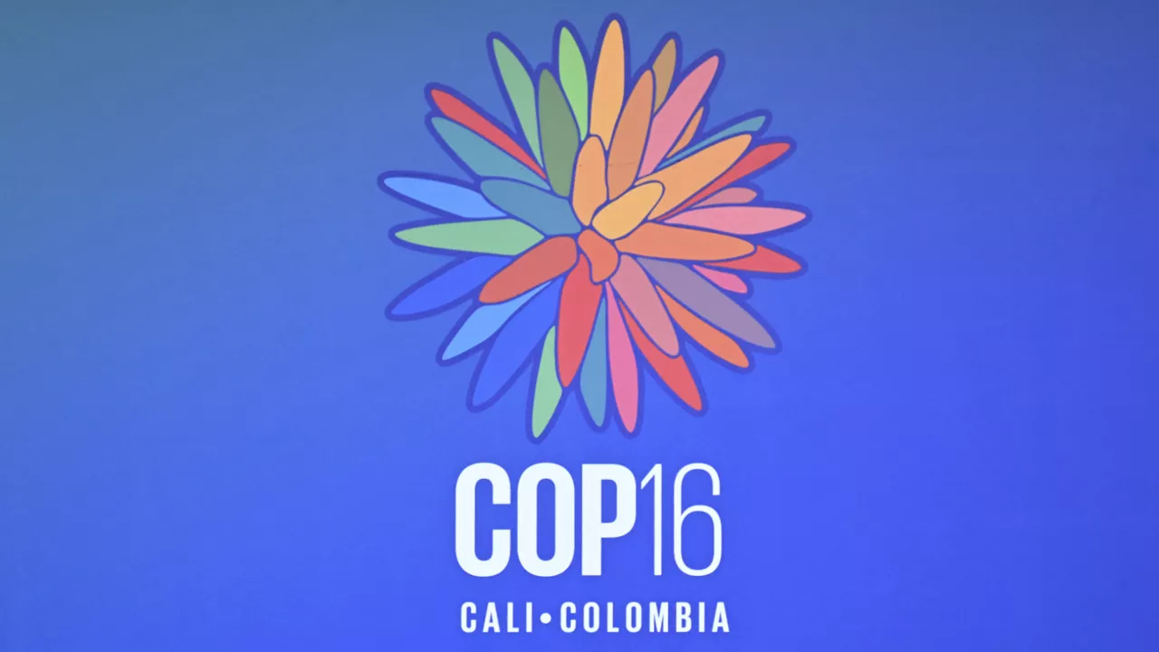 Balance general de cómo terminó la COP16: Beneficios económicos para la región