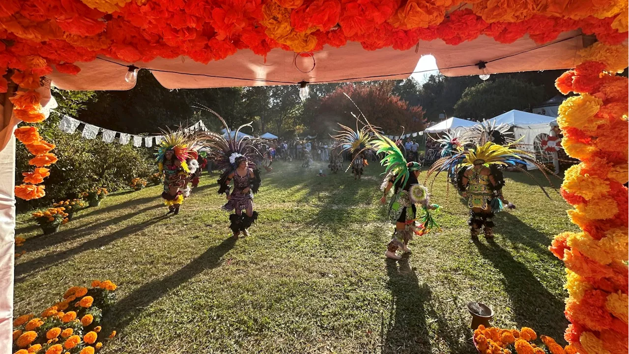 At a historic cemetery in the South, a Dia de los Muertos festival takes root