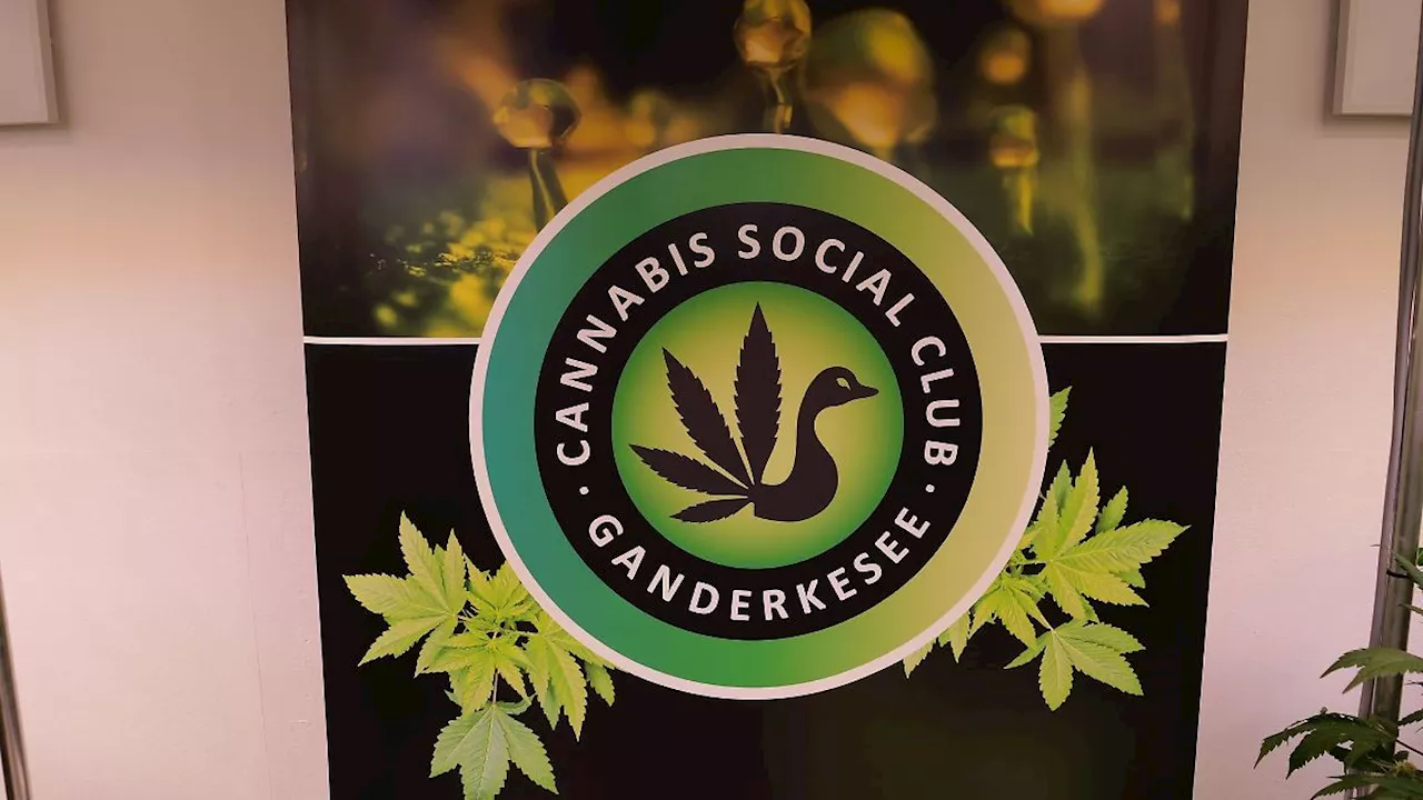 Niedersachsen & Bremen: Erster Anbauverein gibt Cannabis an Mitglieder aus