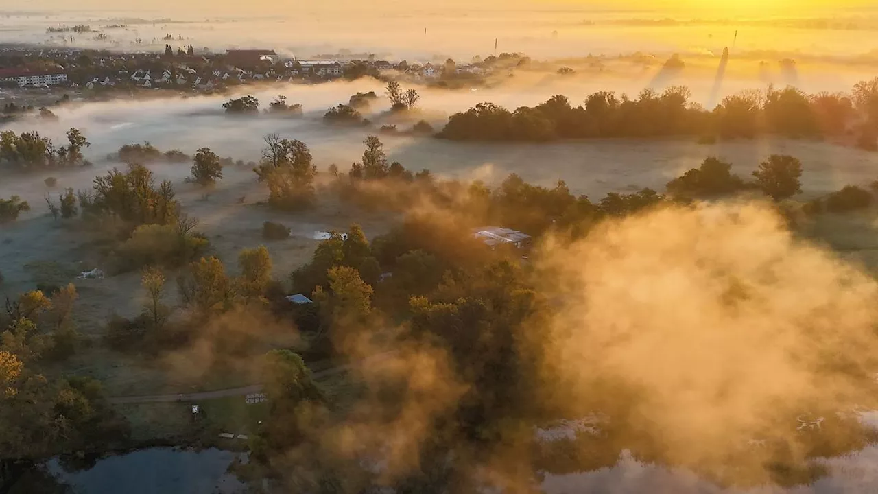 Sachsen-Anhalt: Nach mildem Herbst: Frost und Nebel in Sachsen-Anhalt